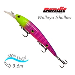 BDTWBS1 B32 Walleye Shallow - фото