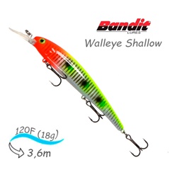 BDTWBS1 B19 Walleye Shallow - фото