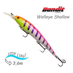 BDTWBS1 B33 Walleye Shallow - фото