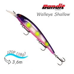 BDTWBS1 OL149 Walleye Shallow - фото