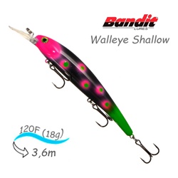 BDTWBS1 OL111 Walleye Shallow - фото