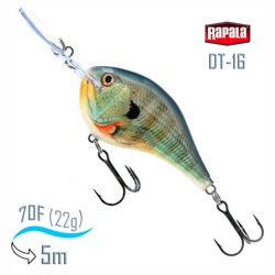 DT16 BG Dives-To - фото