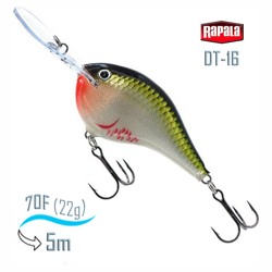 DT16 BOS Dives-To - фото