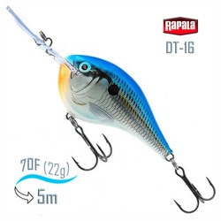 DT16 BSD Dives-To - фото