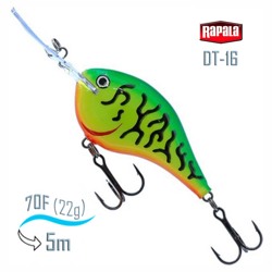 DT16 FT Dives-To - фото