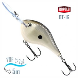 DT16 PGS Dives-To - фото