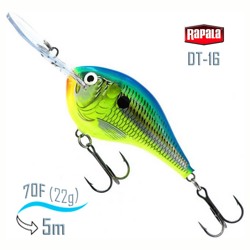 DT16 PRT Dives-To - фото