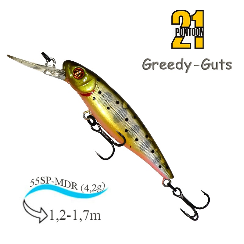 Greedy-Guts 55SP-MDR 451