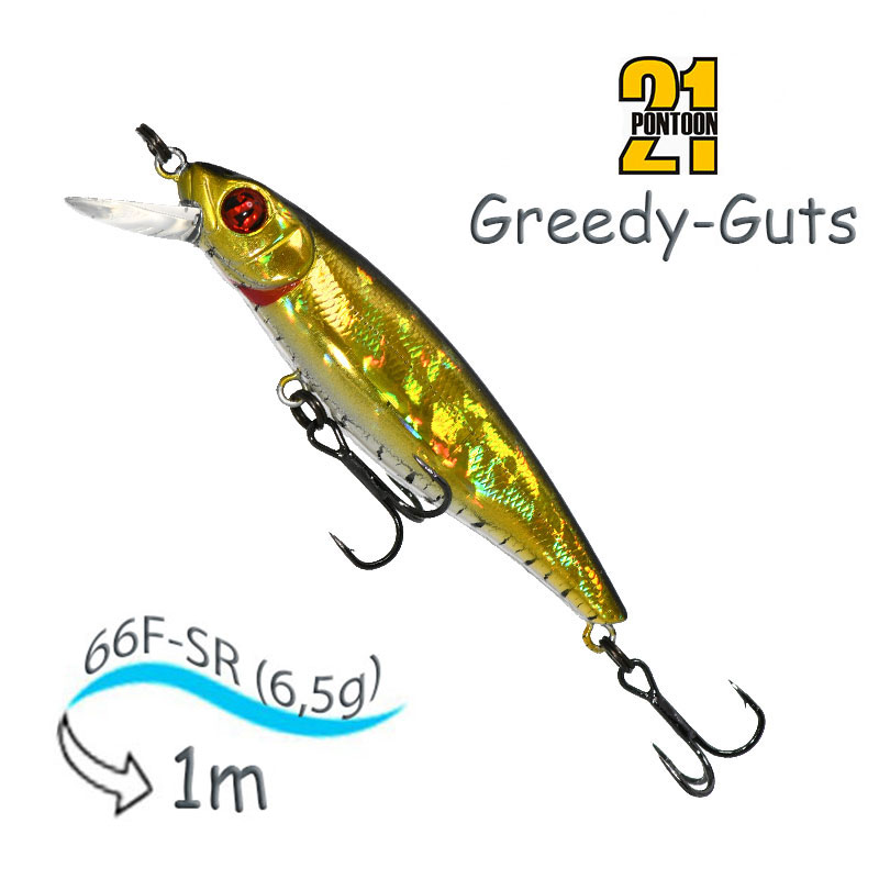 Greedy-Guts 66 F-SR-402