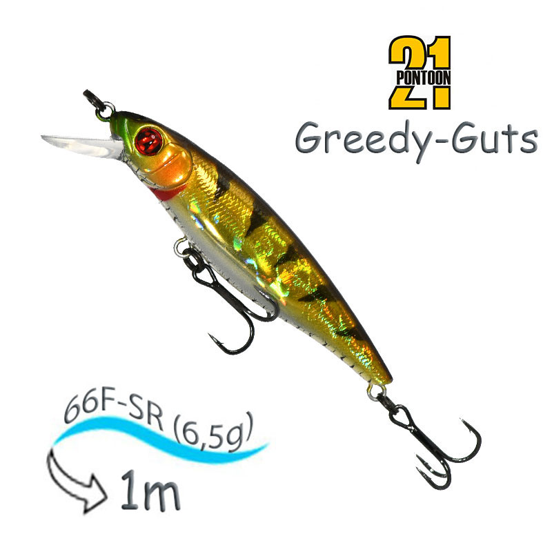Greedy-Guts 66 F-SR-437