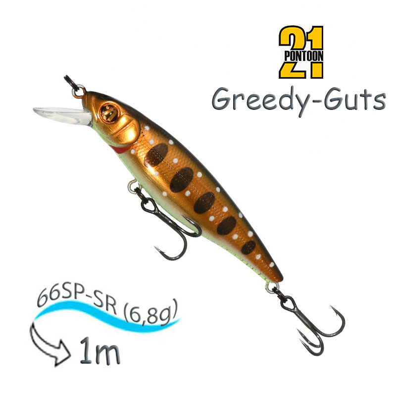 Greedy-Guts 66 SP-SR-429