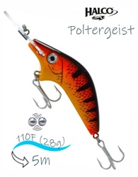 Poltergeist-110 R05 - фото