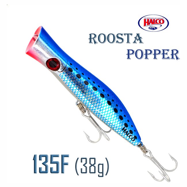 Roosta Popper 135 H50 .