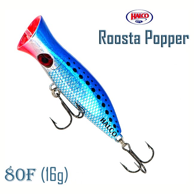 Roosta Popper 80 H50 - фото