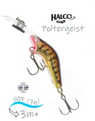 Poltergeist 50 R31 - фото