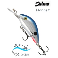 QHT085 Hornet HT-040-FL-RTS - фото