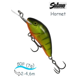 QHT041 Hornet HT-050-FL-HPH - фото