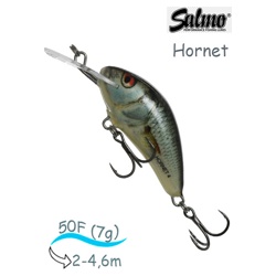 QHT048 Hornet HT-050-FL-RDE - фото