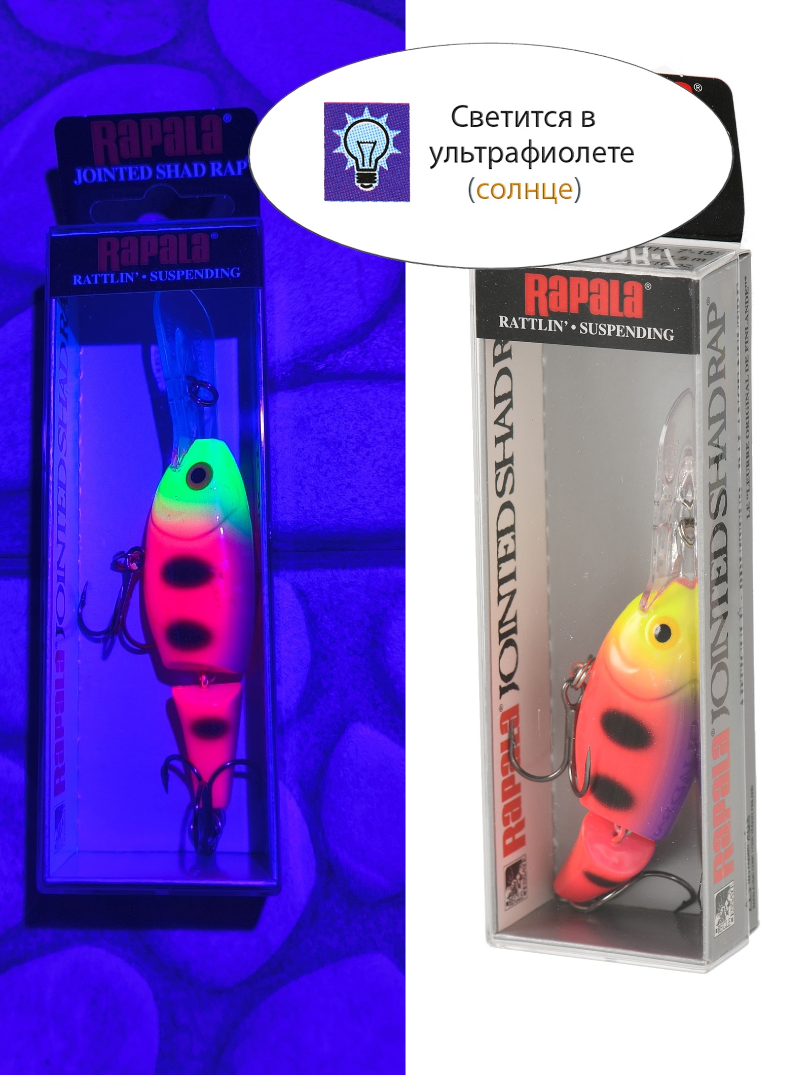JSR05 FPN Jointed Shad Rap