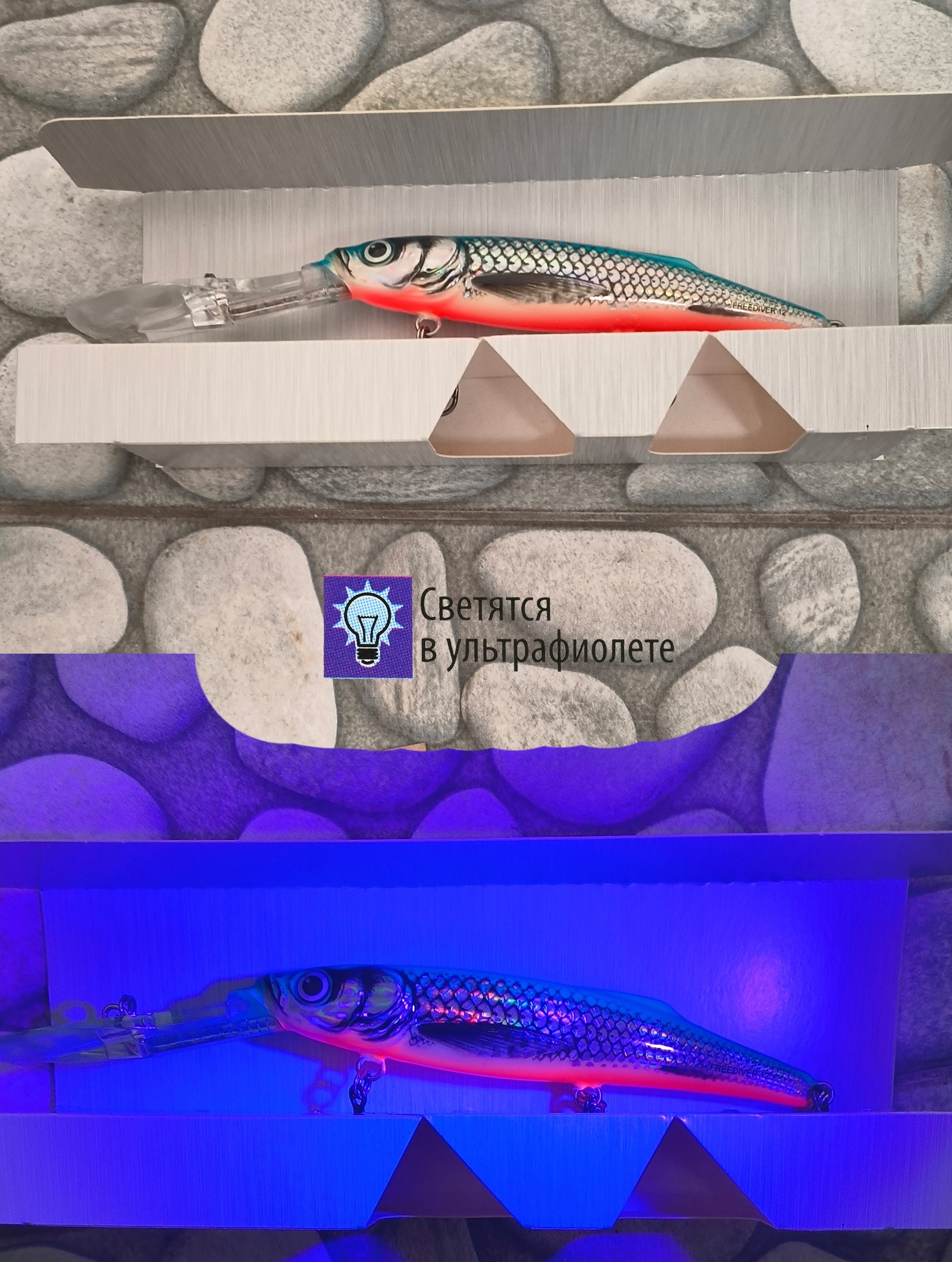 QFD039 FREEDIVER 09 SDR-SIB