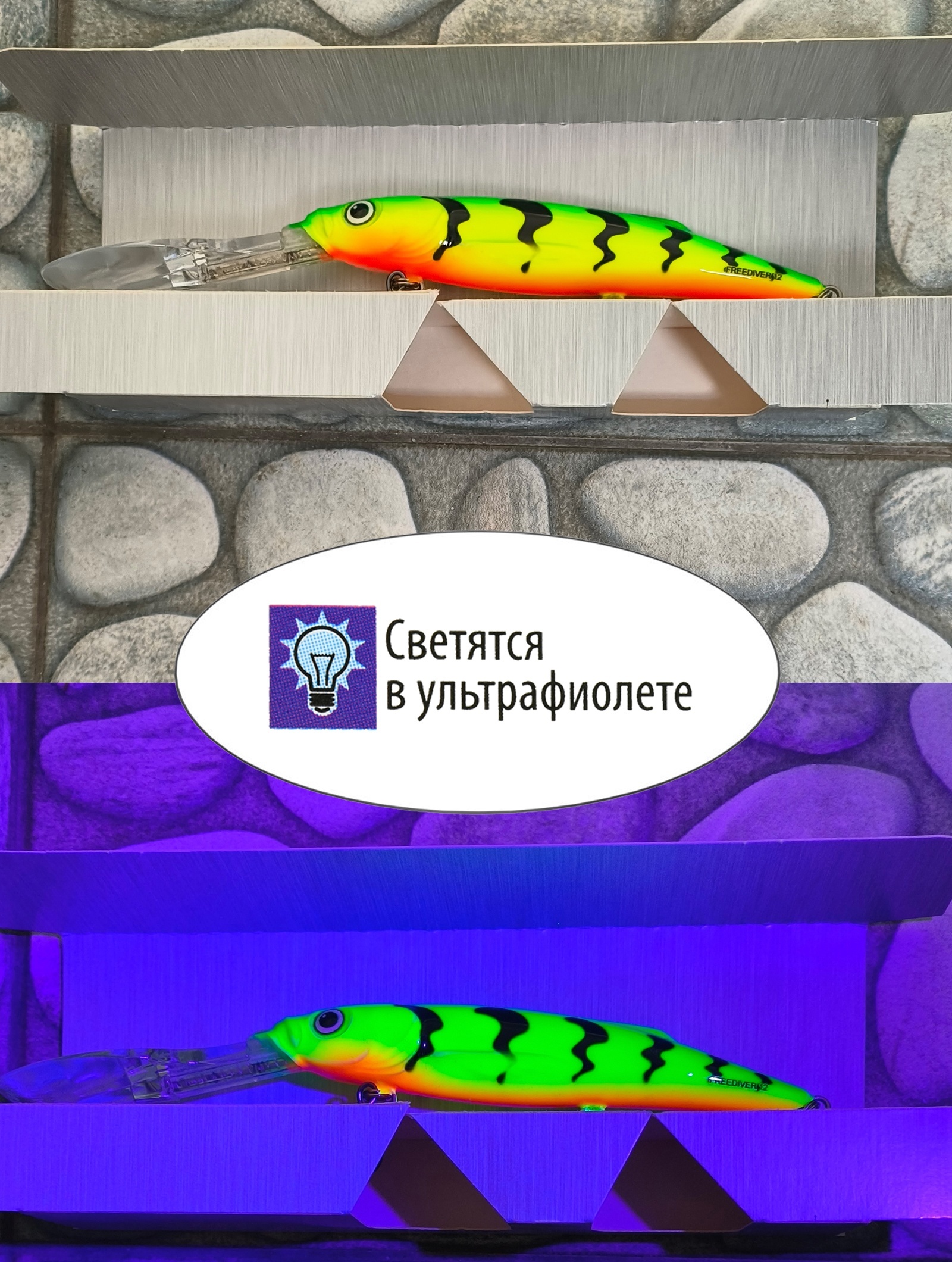 QFD034 FREEDIVER 09 SDR-GT