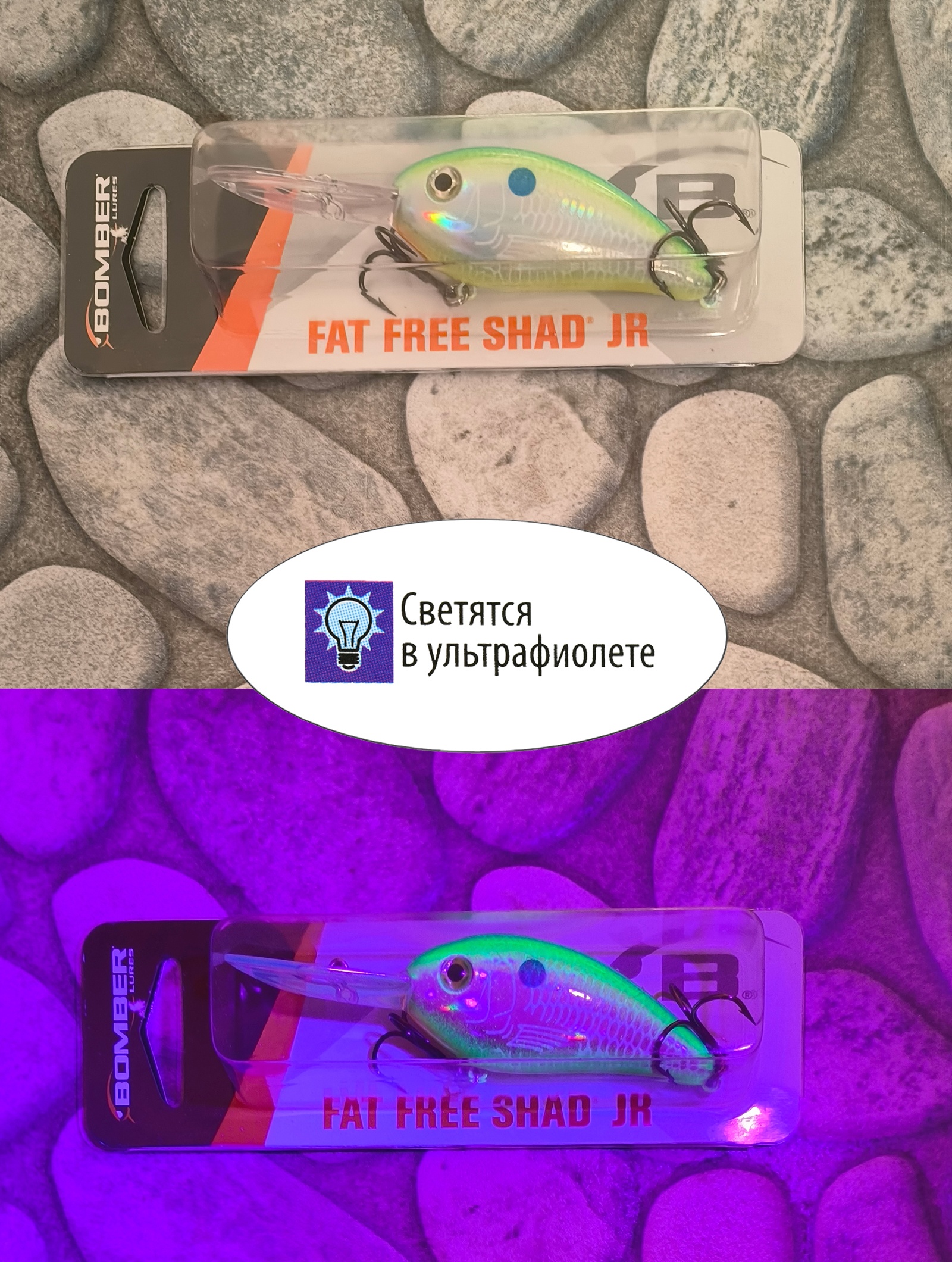 BD6 FDCS Fat Free Shad JR