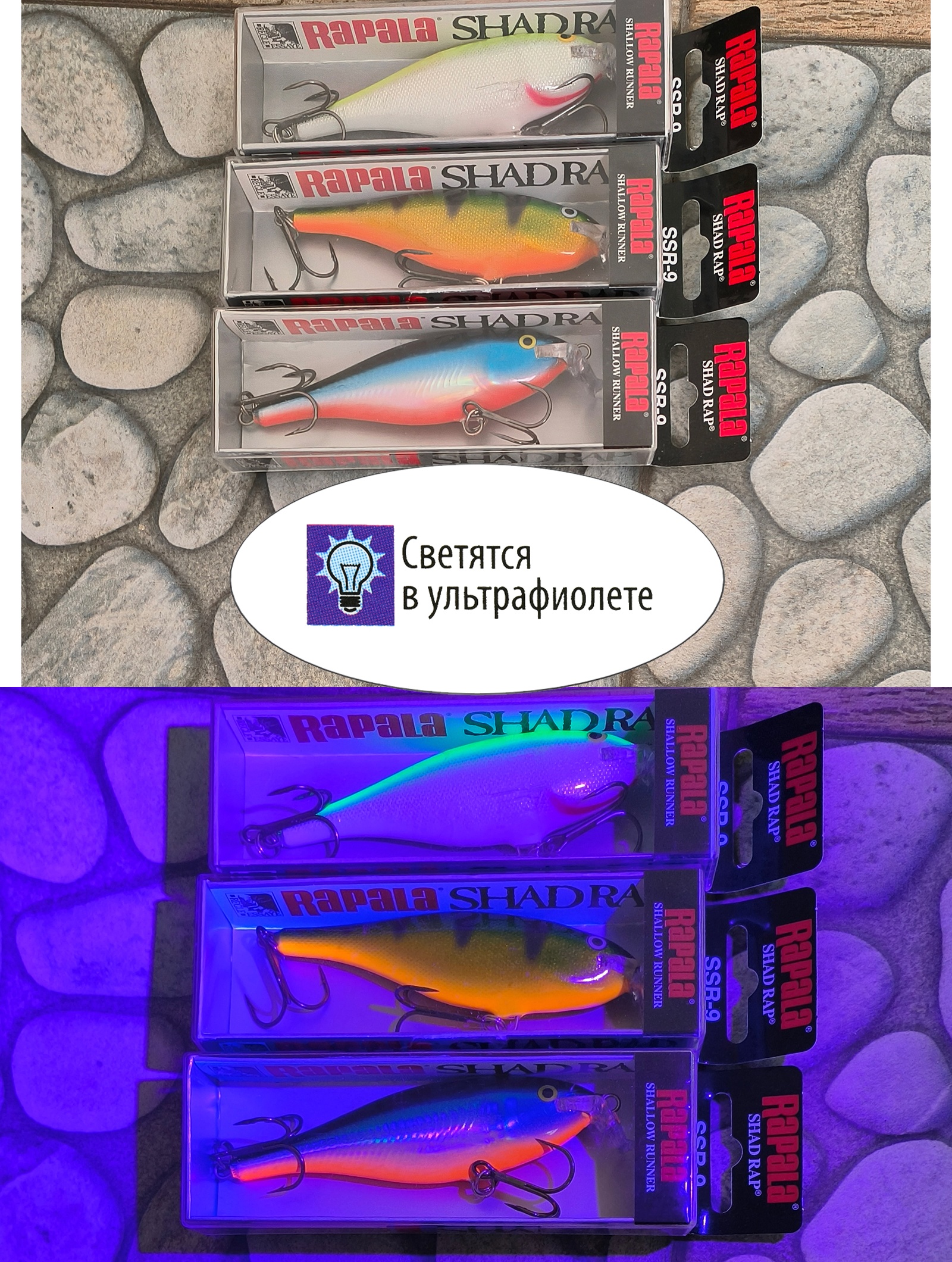 SSR09 SFC Shallow Shad Rap