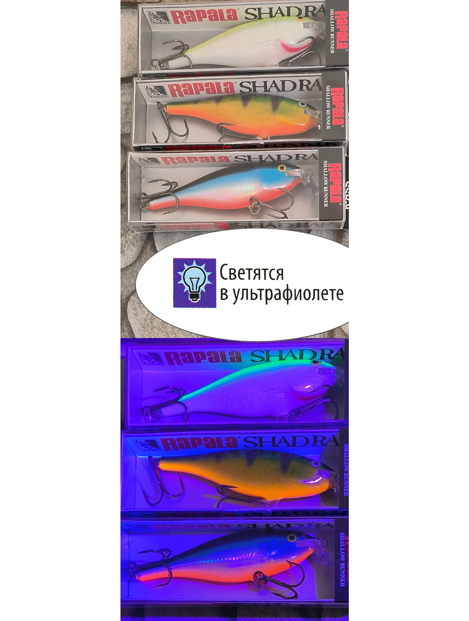 SSR05 SFC Shallow Shad Rap