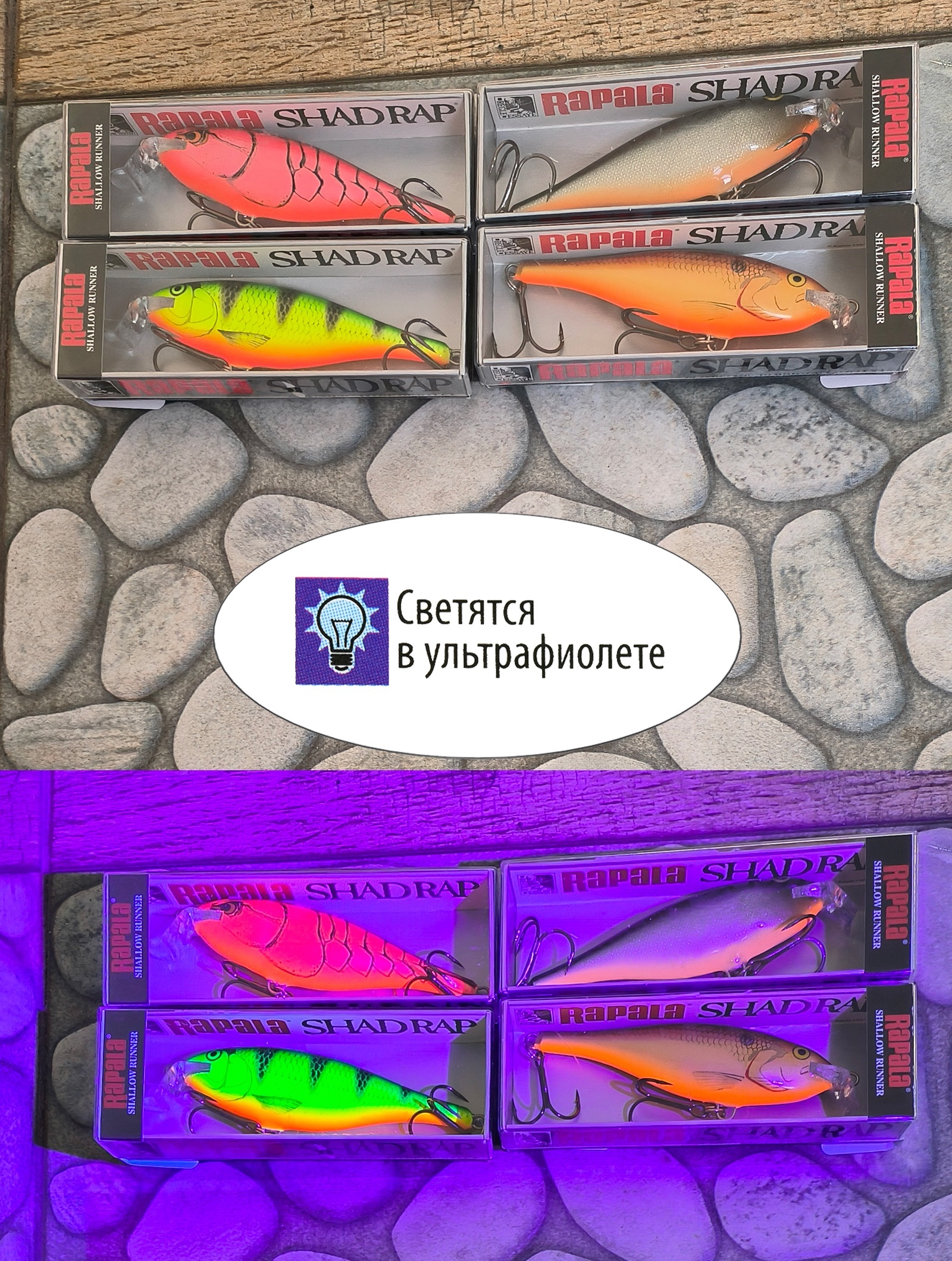 SSR07 DMN Shallow Shad Rap - фото4