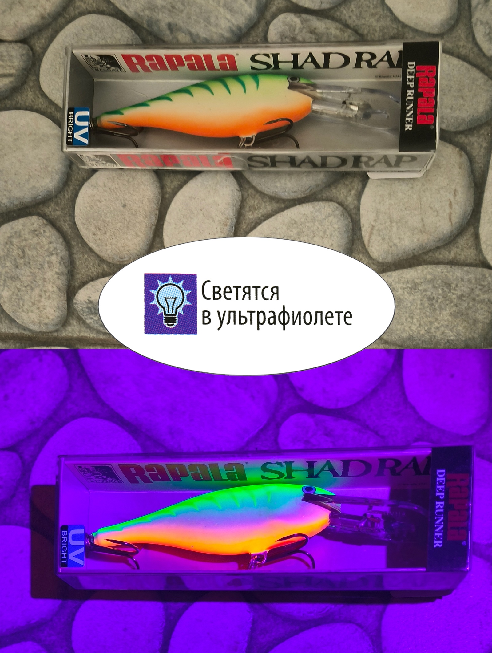 SR09 GTU Shad Rap - фото6