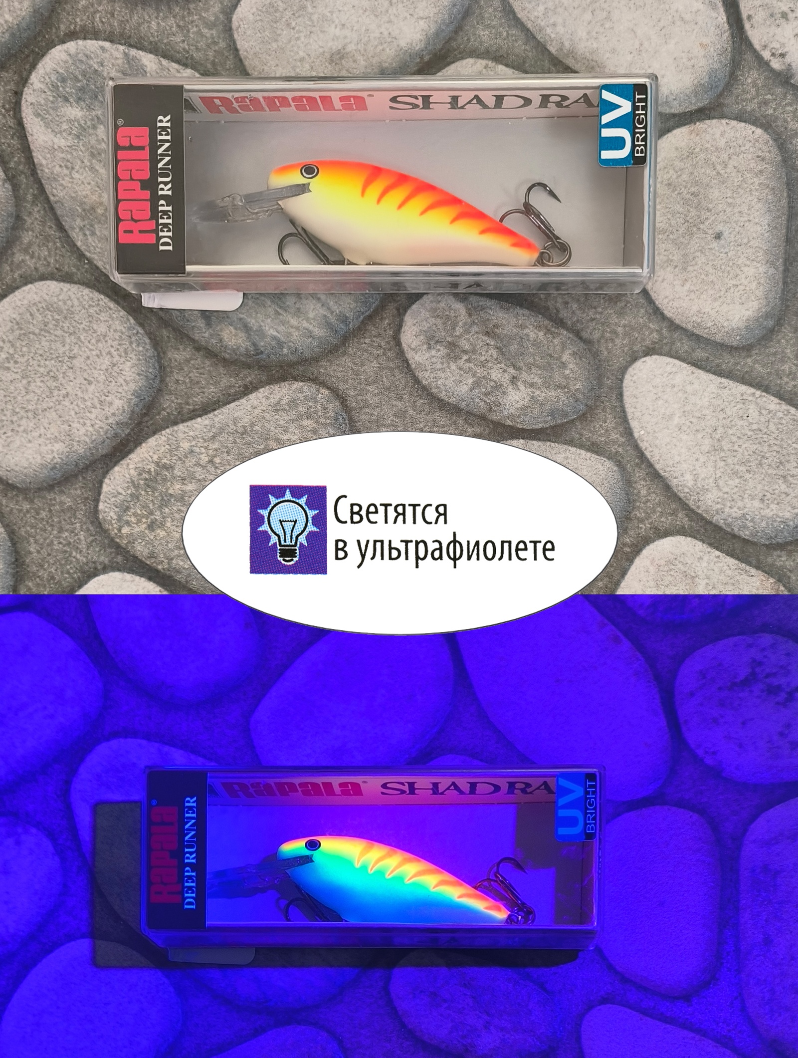 SR05 OTU Shad Rap