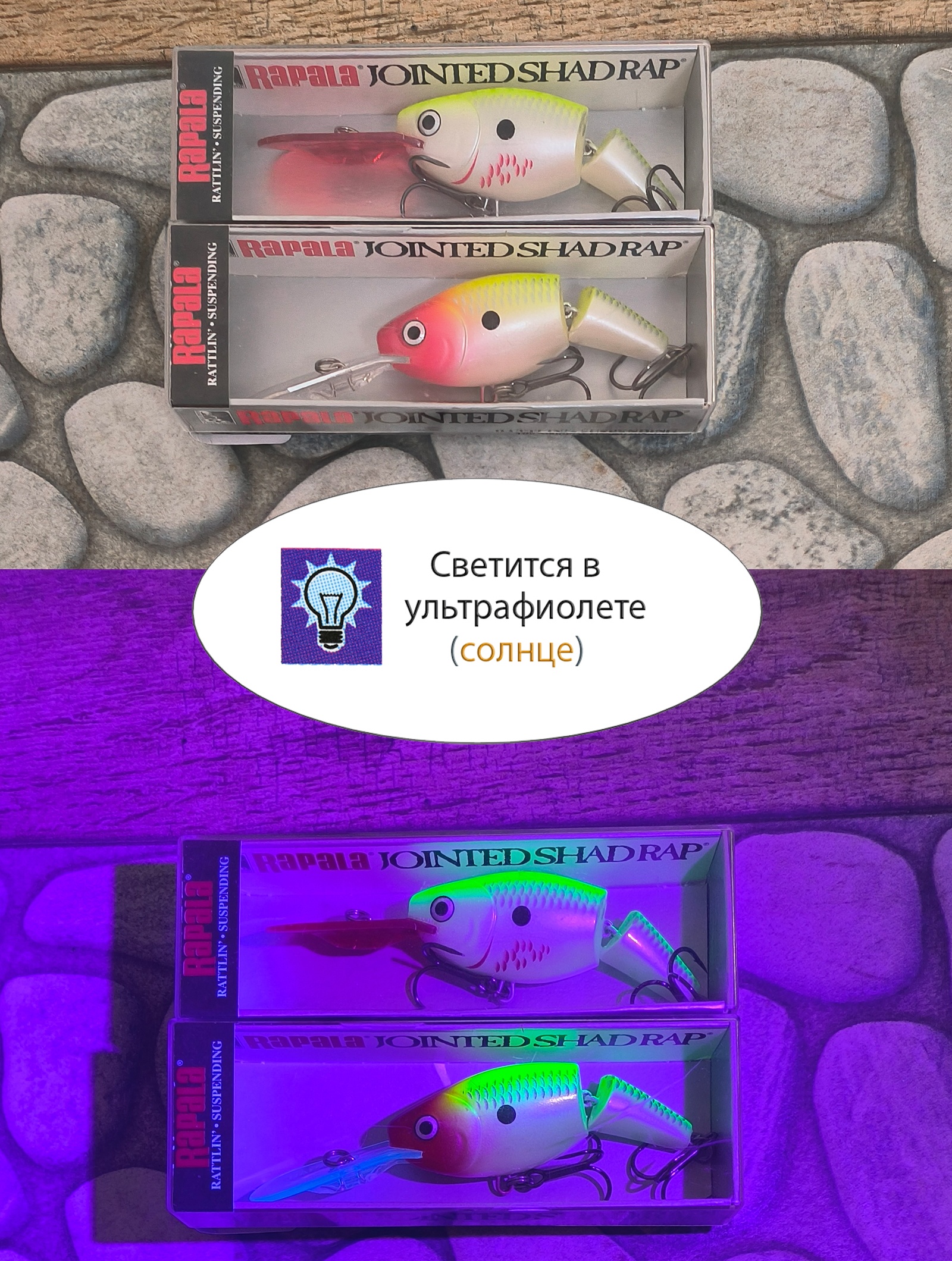 JSR07 CLN Jointed Shad Rap