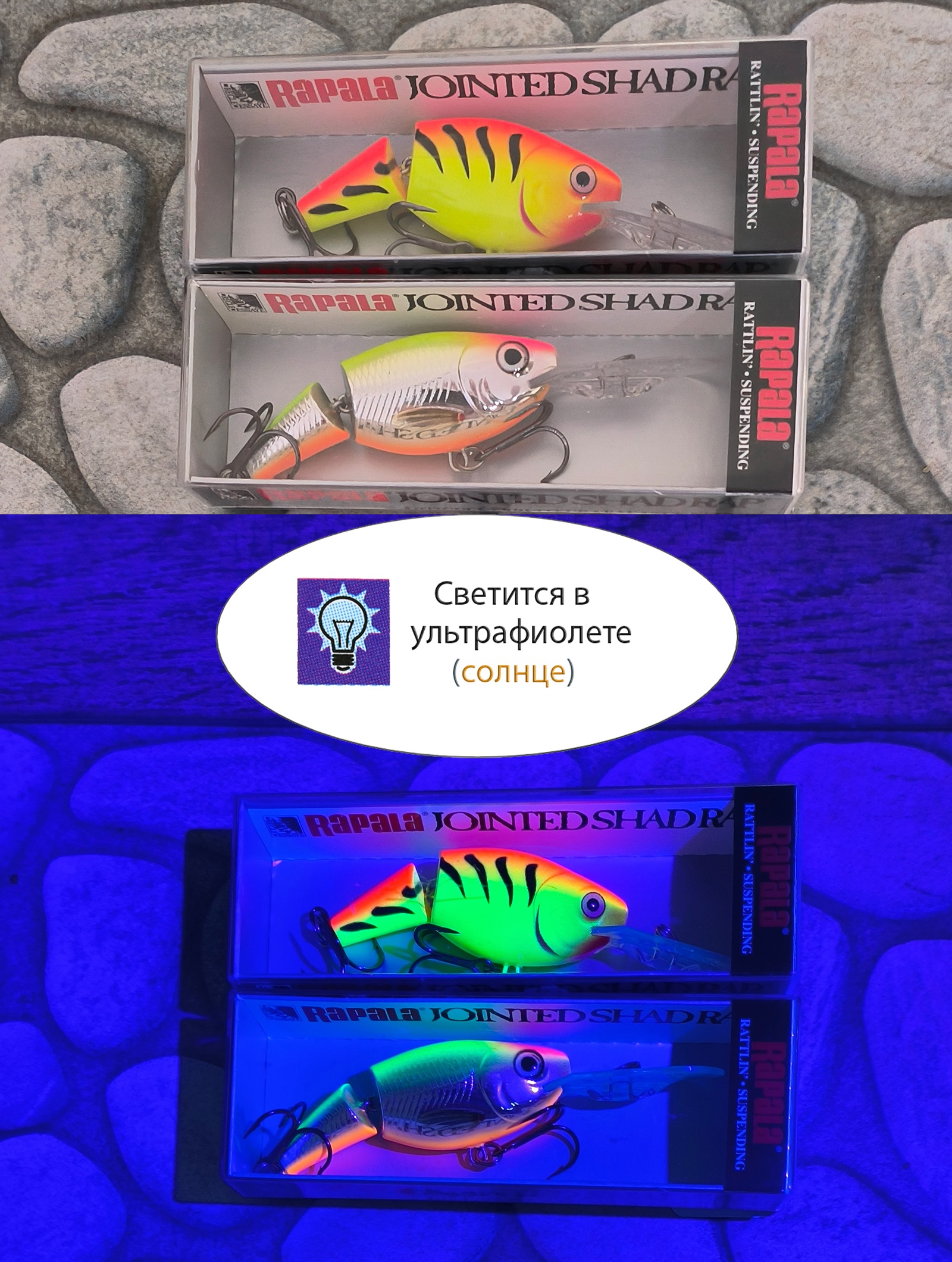 JSR04 CLS Jointed Shad Rap