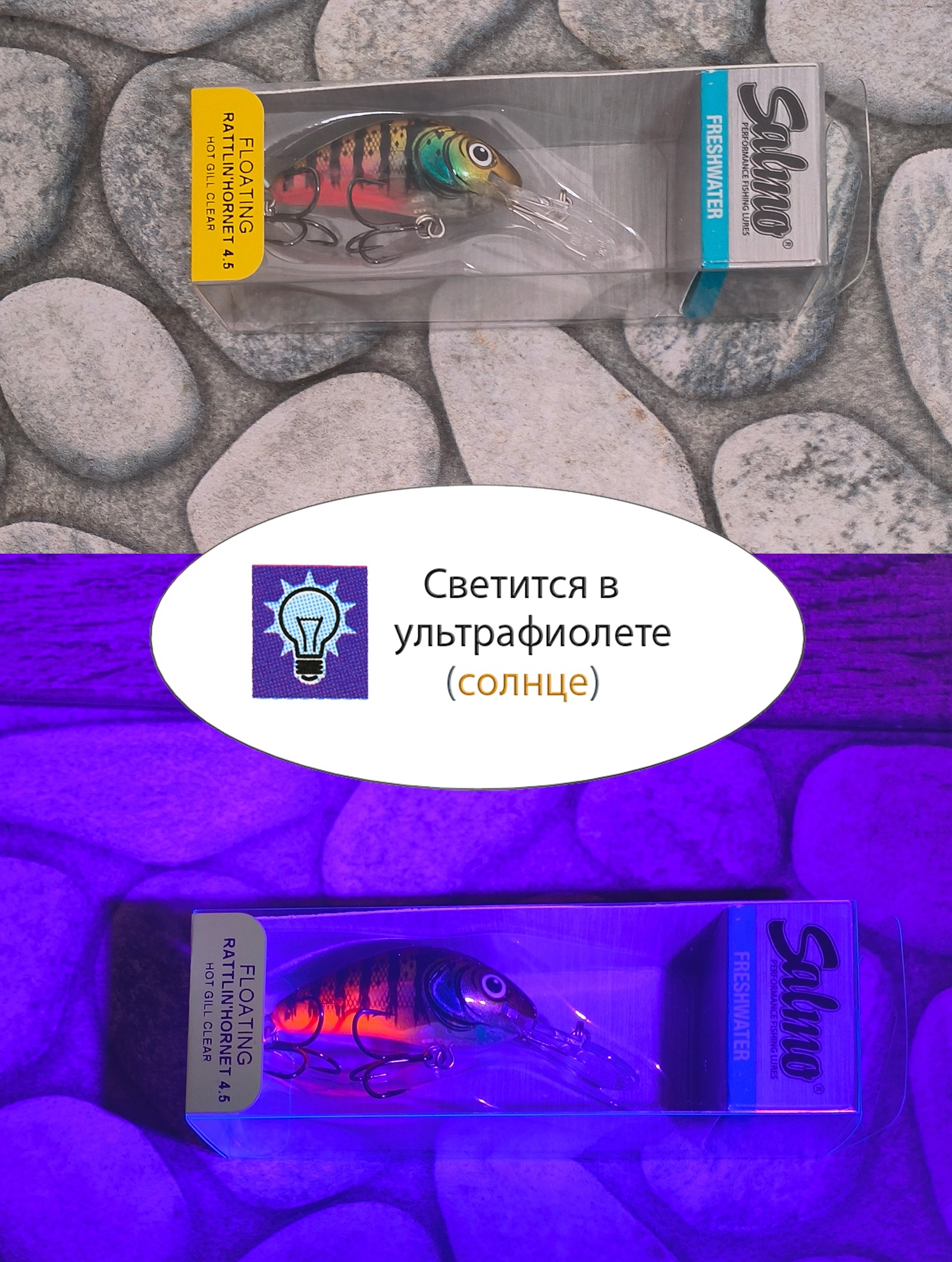 QRH542 Rattlin Hornet RH-055-FL-CBG - фото4