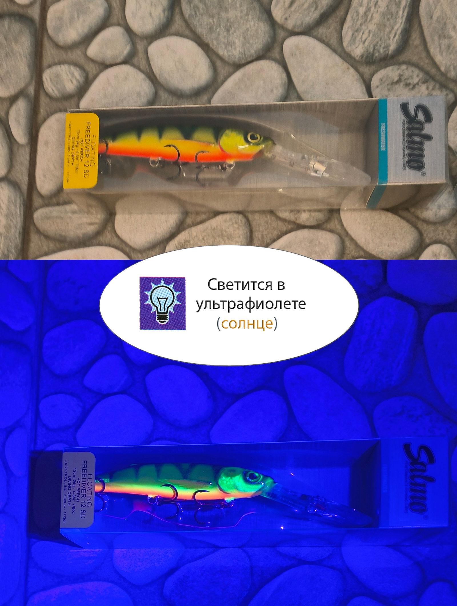 QFD001 FREEDIVER 12SDR-HP