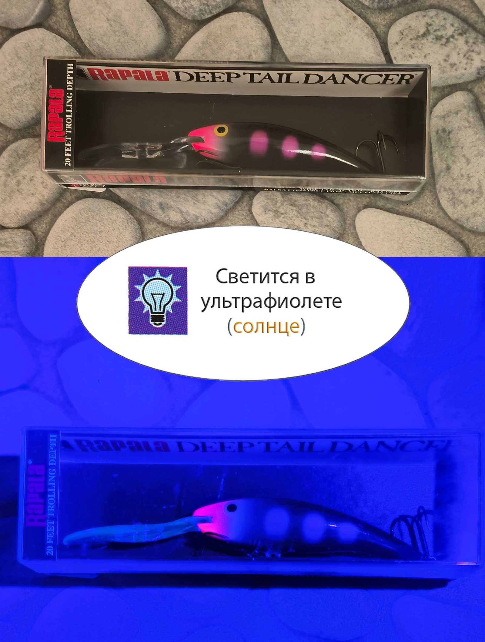 TDD09 BLKL Tail Dancer Deep