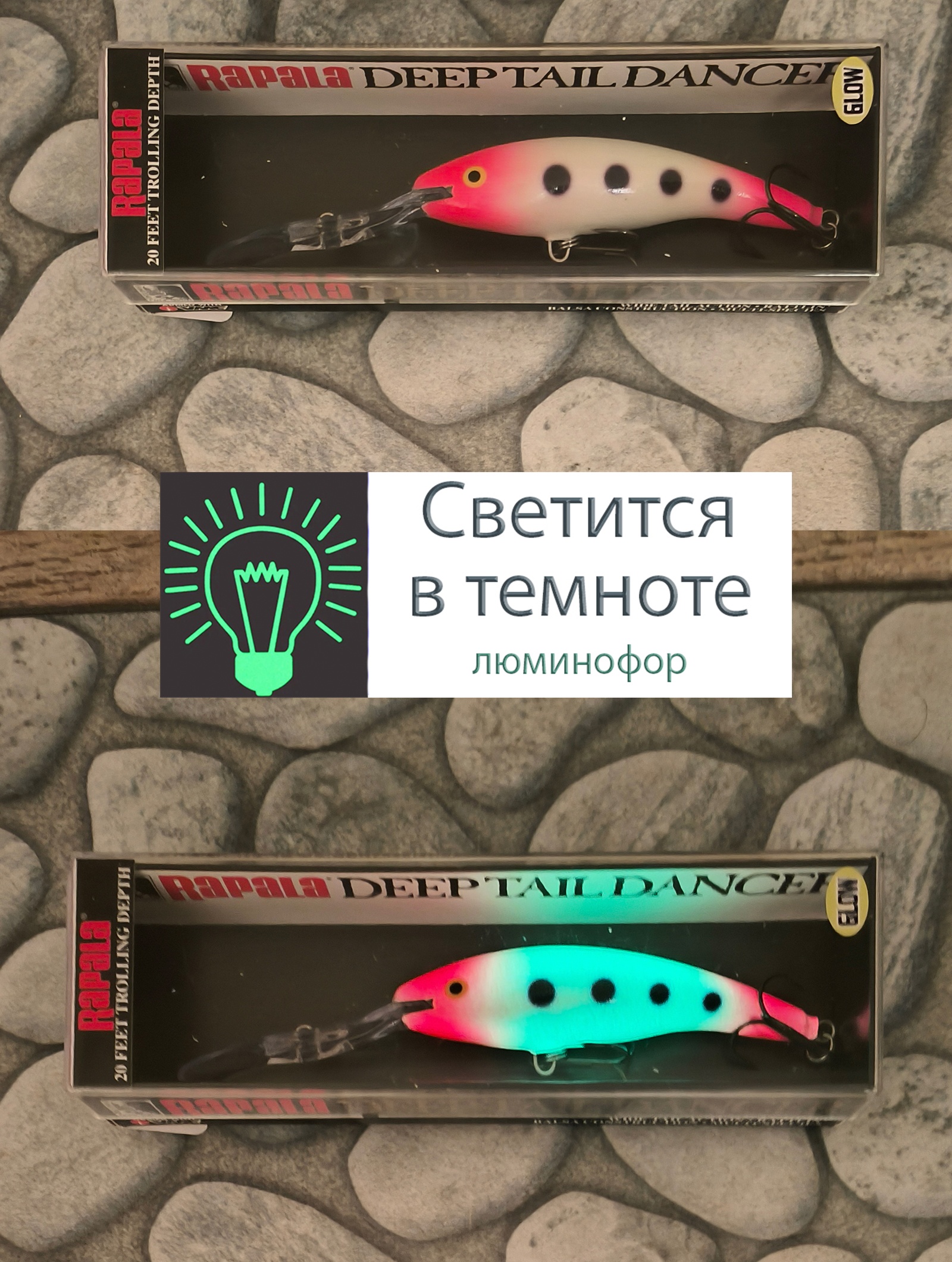 TDD09 GPSQ Tail Dancer Deep