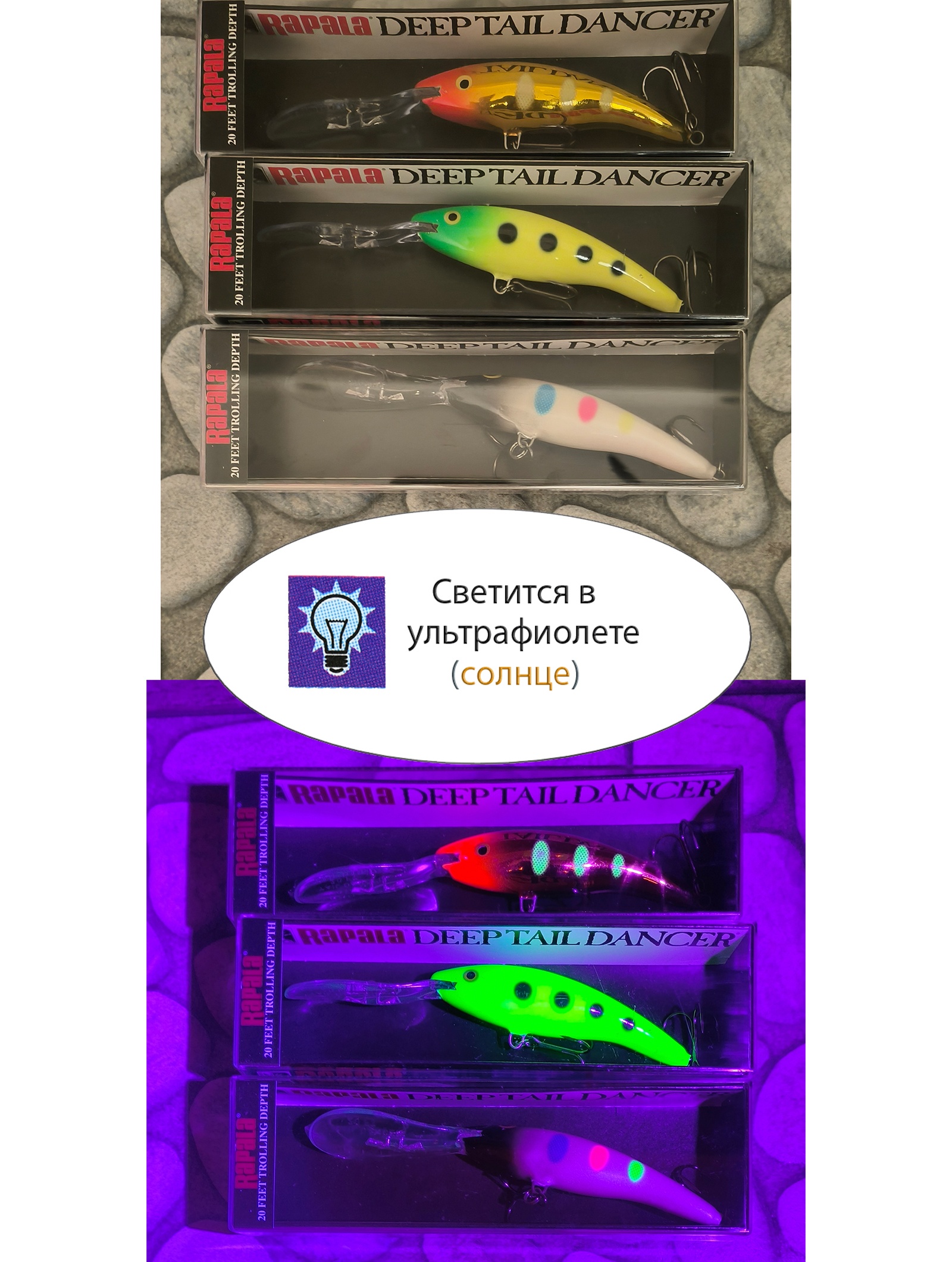 TDD09 BWB Tail Dancer Deep