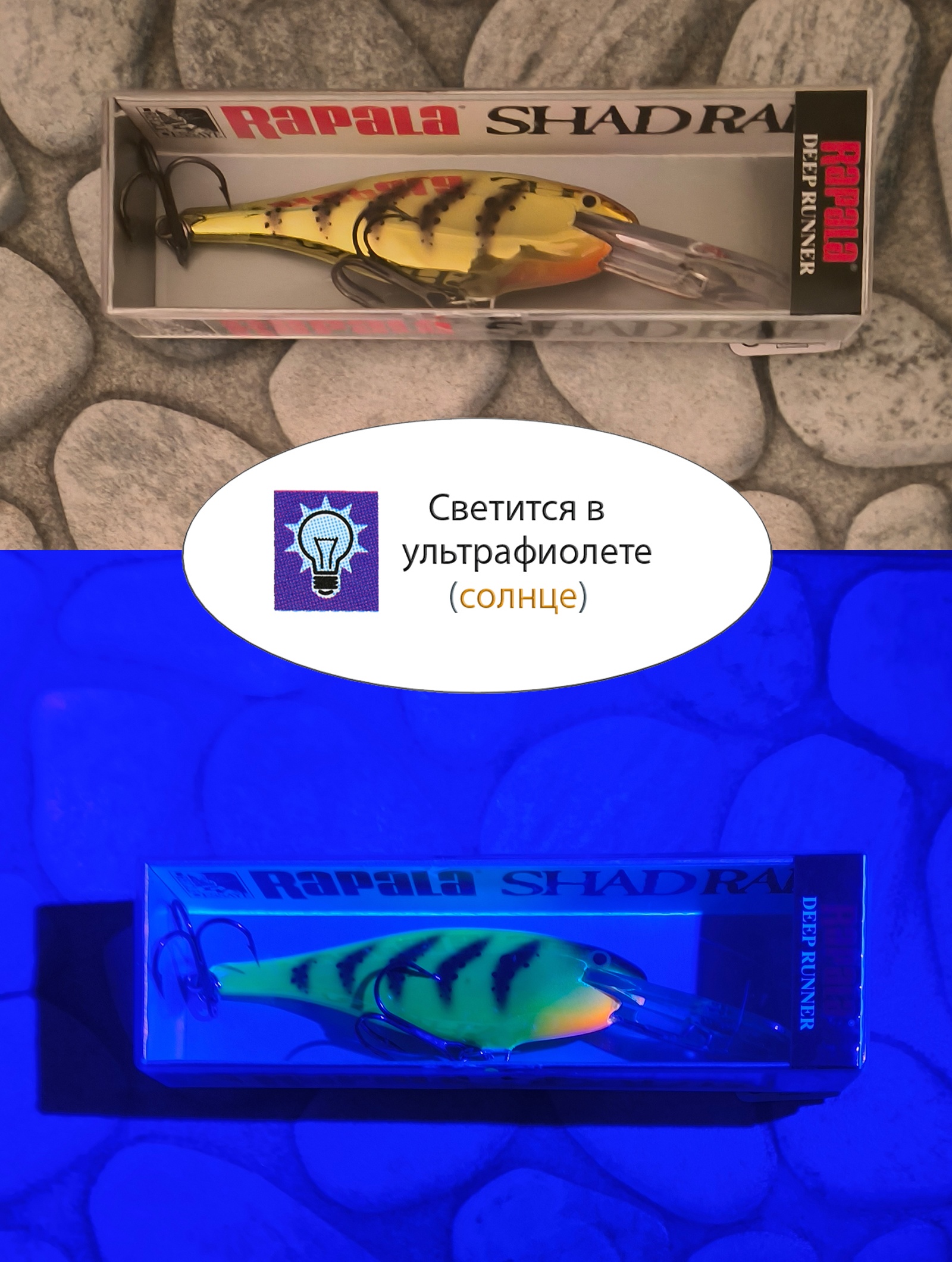 SR09 WS Shad Rap - фото5