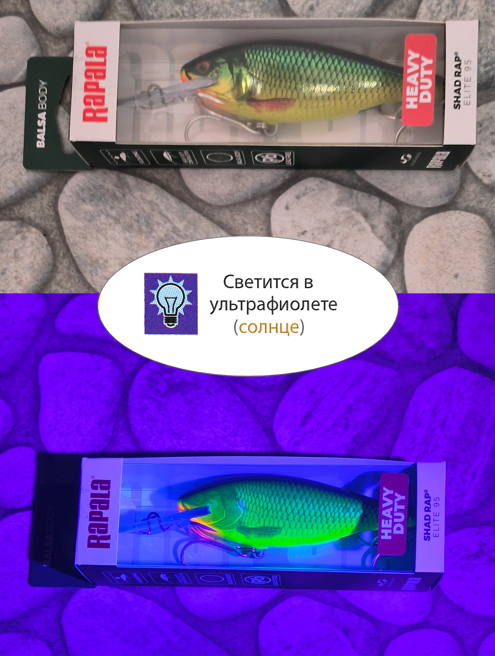 SREH95 GDLM Shad Rap Elite Heavy