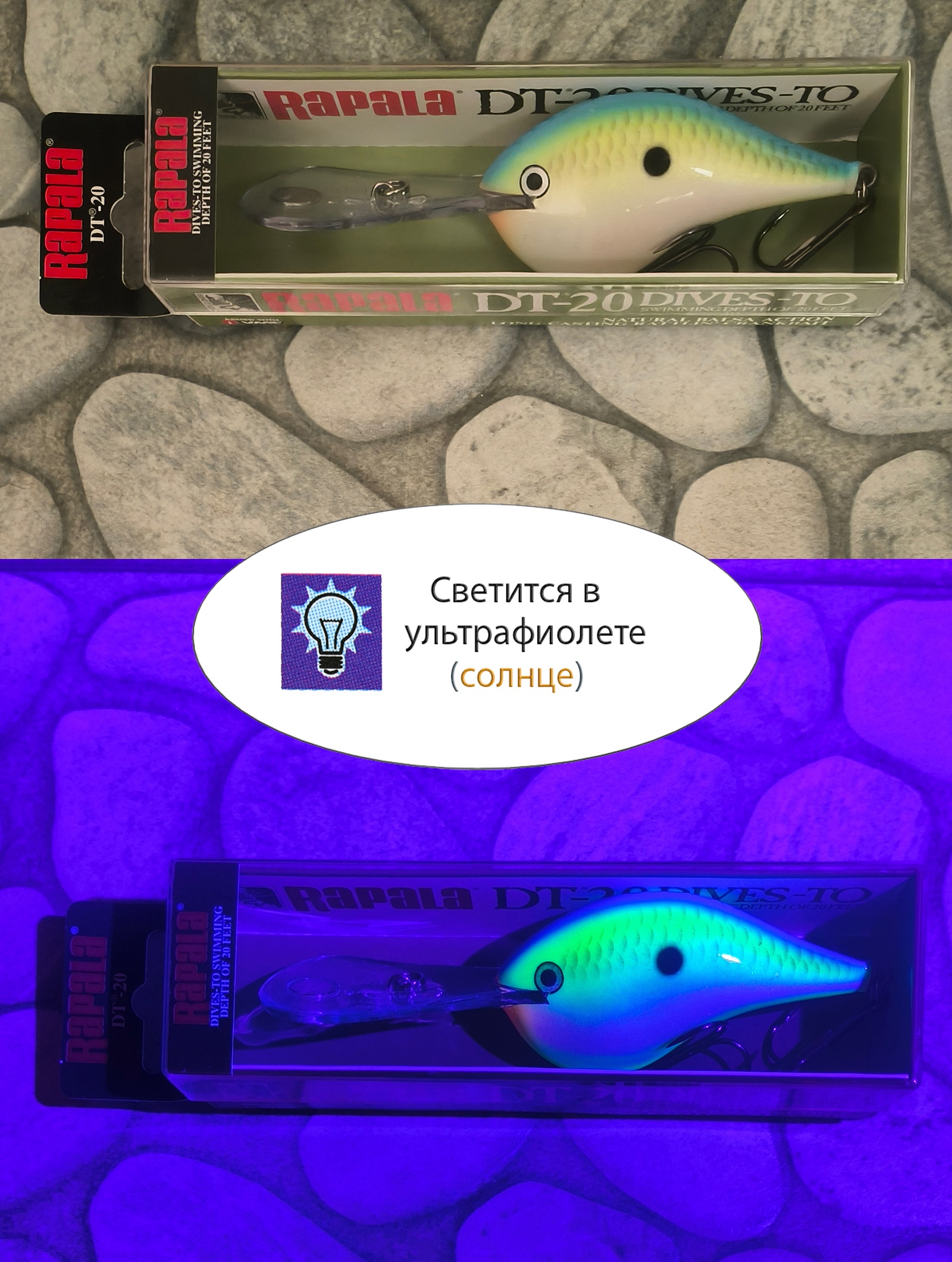 DTMSS20 CTSD - фото4