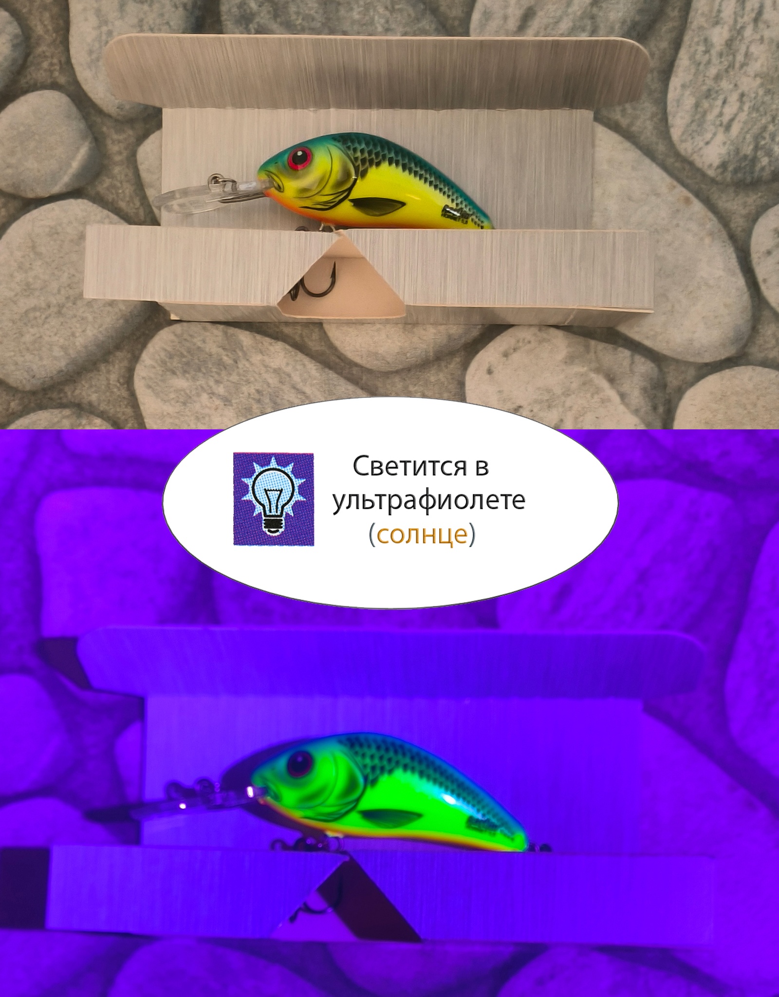 QRH028 Rattlin Hornet RH-055FL-CHB - фото4