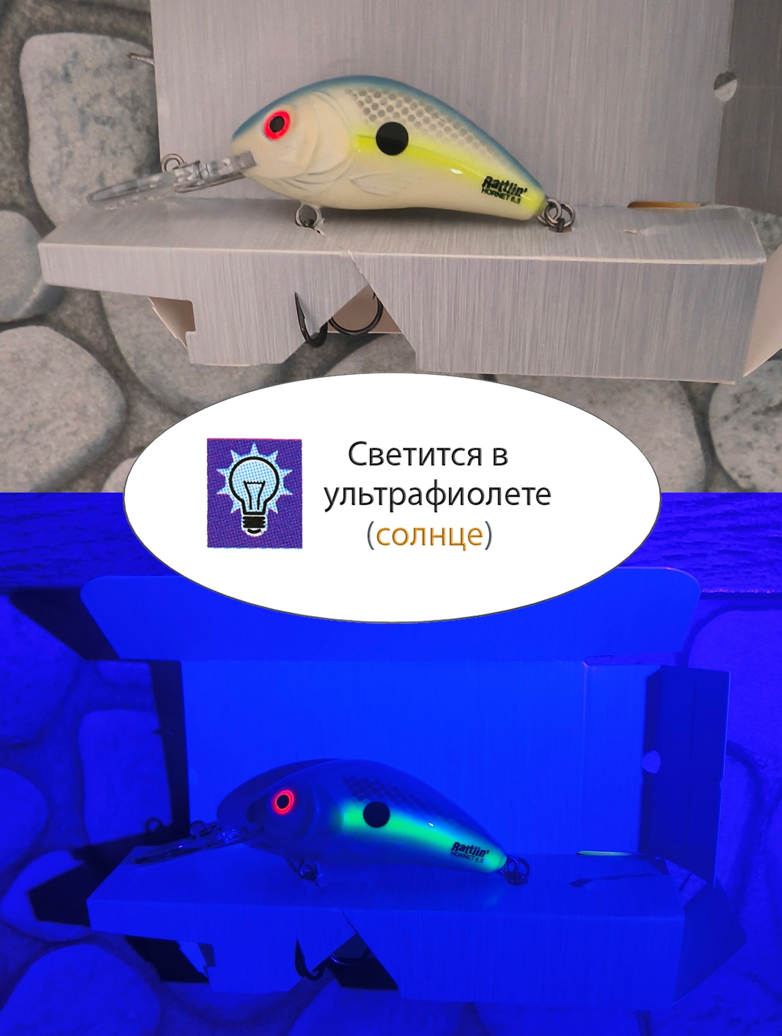 QRH024 Rattlin Hornet RH-065FL-SXS - фото4