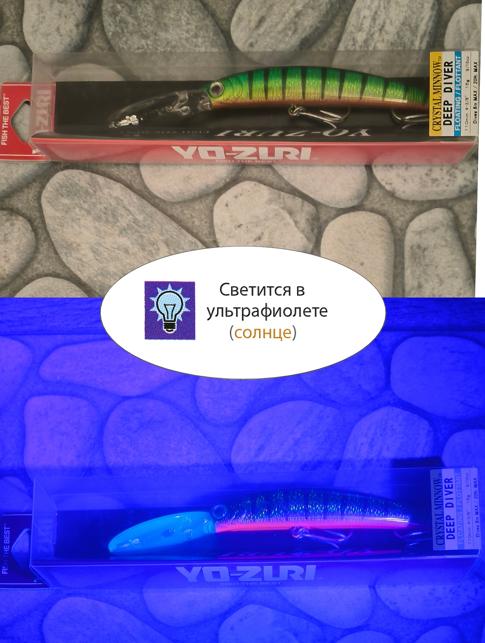 Crystal Minnow DD F-1012 PC - фото4