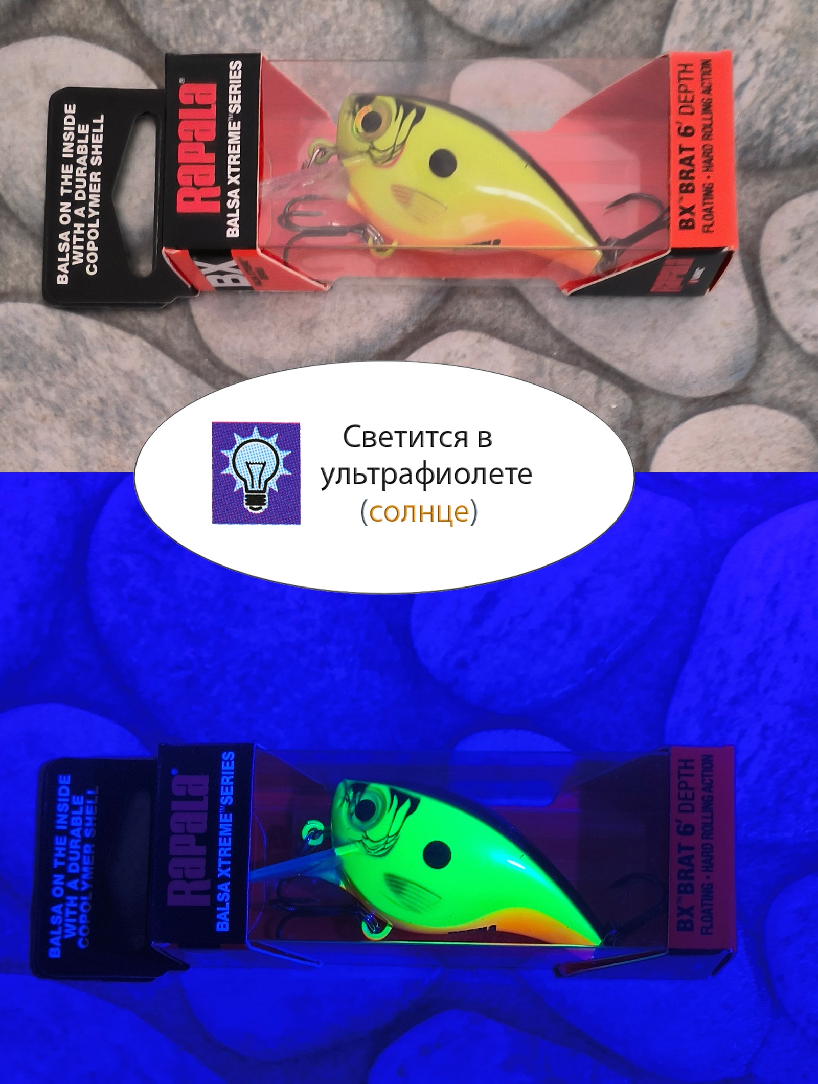 BXB06-CSD Brat - фото4