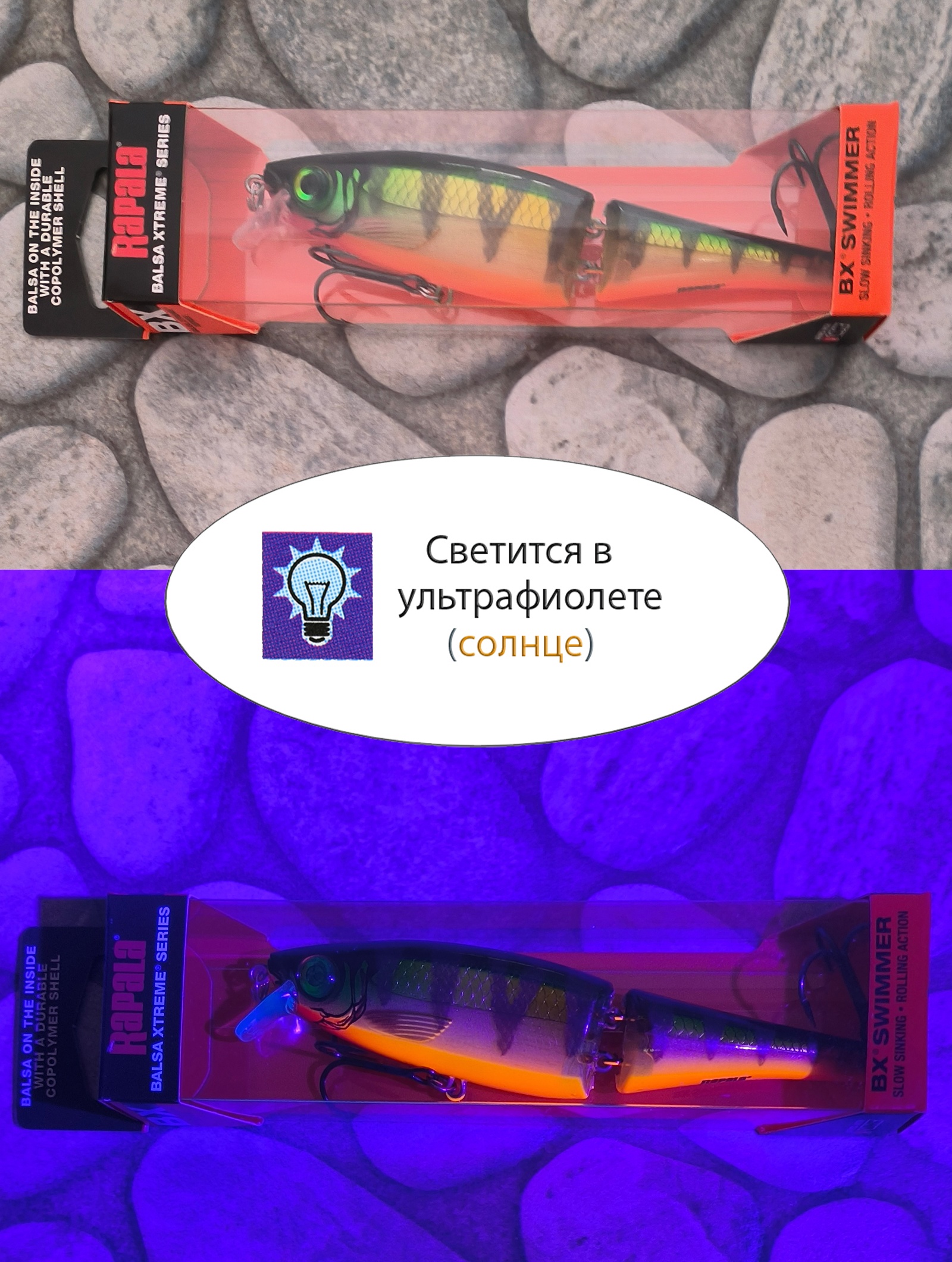 BXS12 P Swimmer BX - фото4