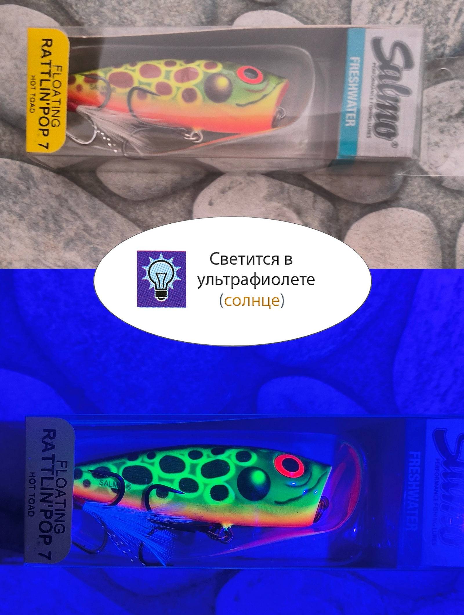 QRA003 Rattlin Pop 70 FL-HTD - фото4