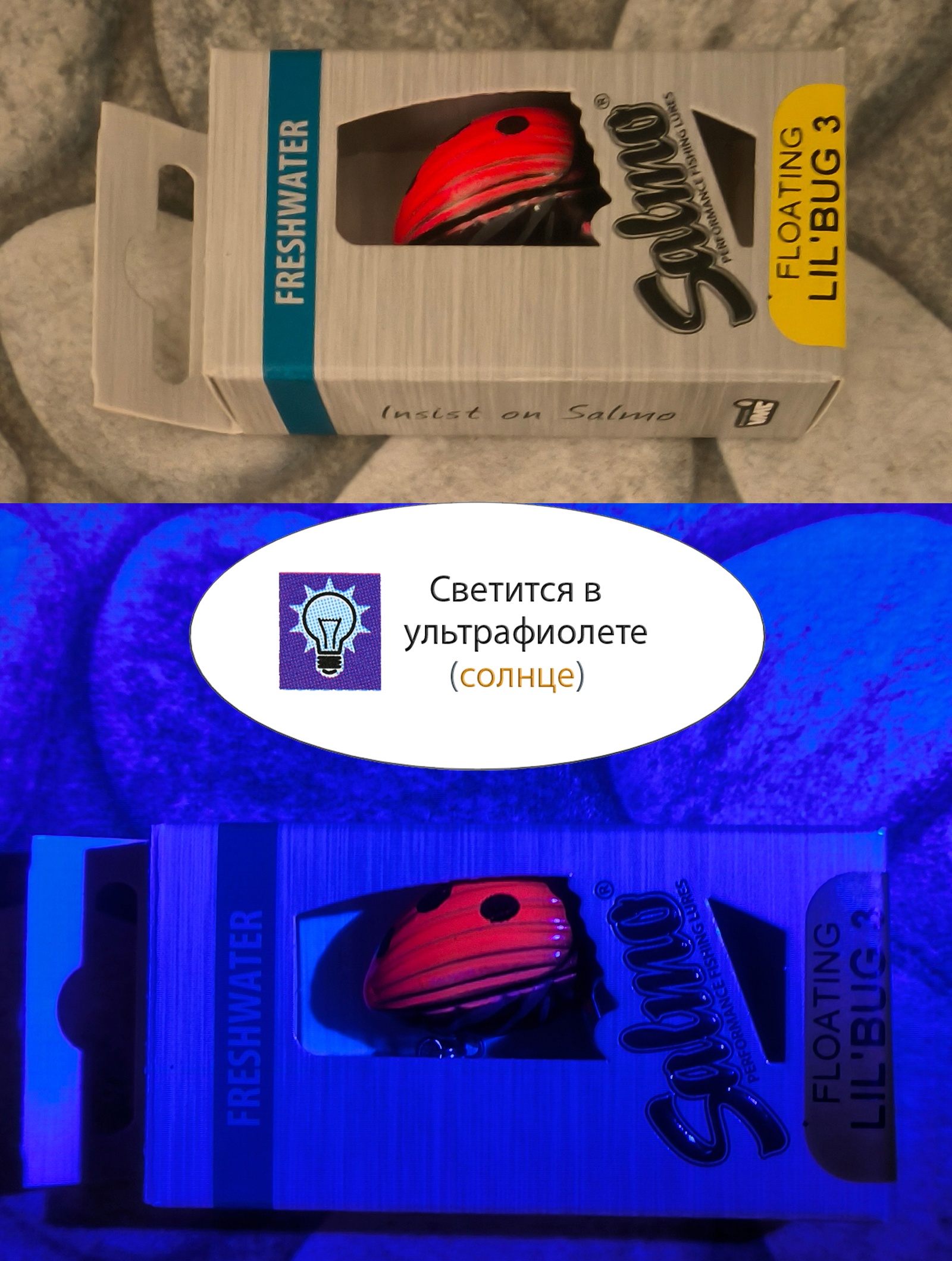 QBG002 Lil'Bug 03-LAB - фото6