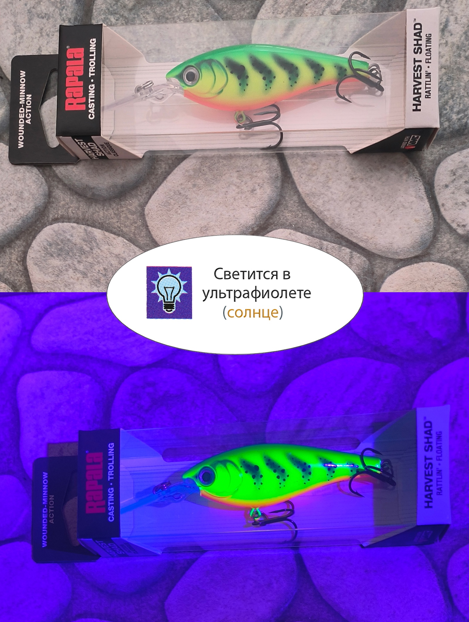 HVSD05-FT Harvest Shad - фото4