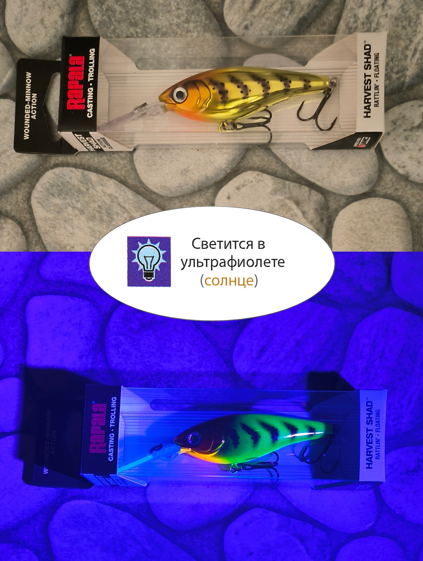 HVSD05-WS Harvest Shad - фото4